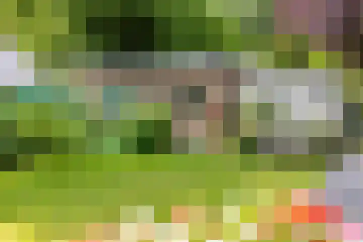 Eltinge 41 Zuidlaren thumbnail 61