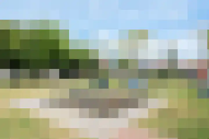 Eltinge 41 Zuidlaren thumbnail 66