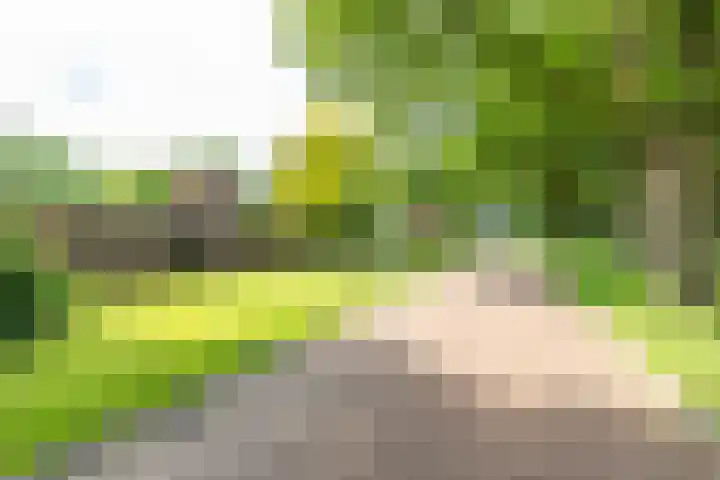 Eltinge 41 Zuidlaren thumbnail 7