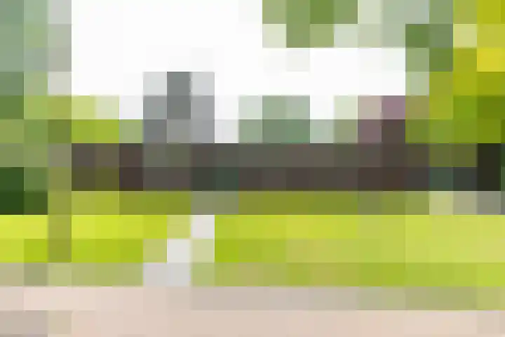 Eltinge 41 Zuidlaren thumbnail 8