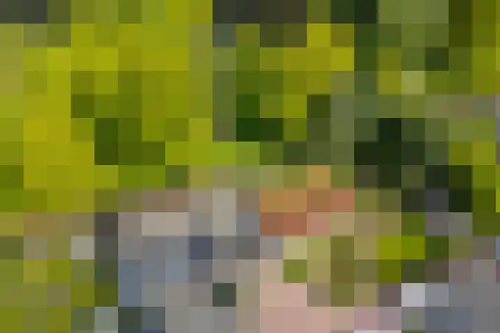 Eltinge 49 Zuidlaren thumbnail 11