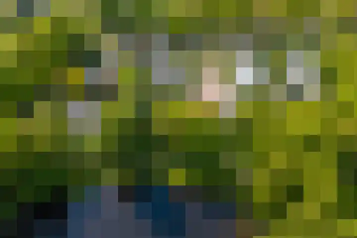 Eltinge 49 Zuidlaren thumbnail 12