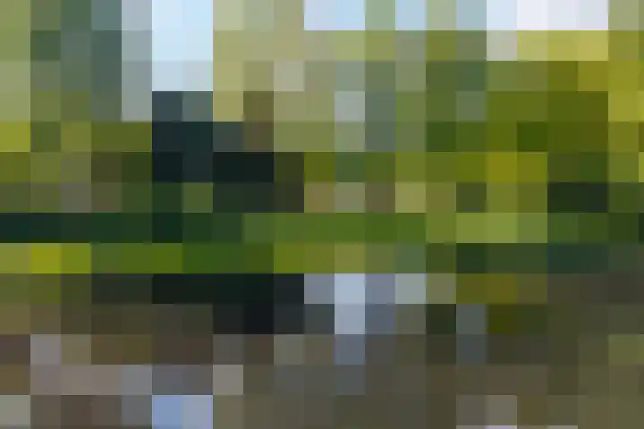 Eltinge 49 Zuidlaren thumbnail 15