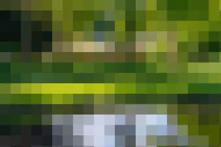 Eltinge 49 Zuidlaren thumbnail 16