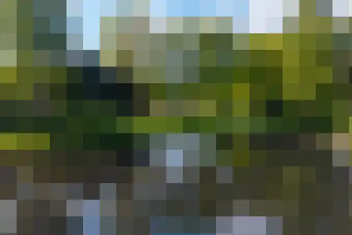 Eltinge 49 Zuidlaren thumbnail 17