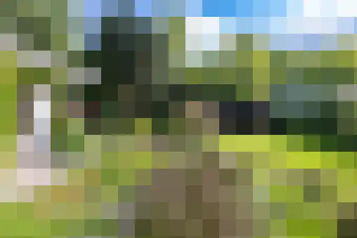 Eltinge 49 Zuidlaren thumbnail 18