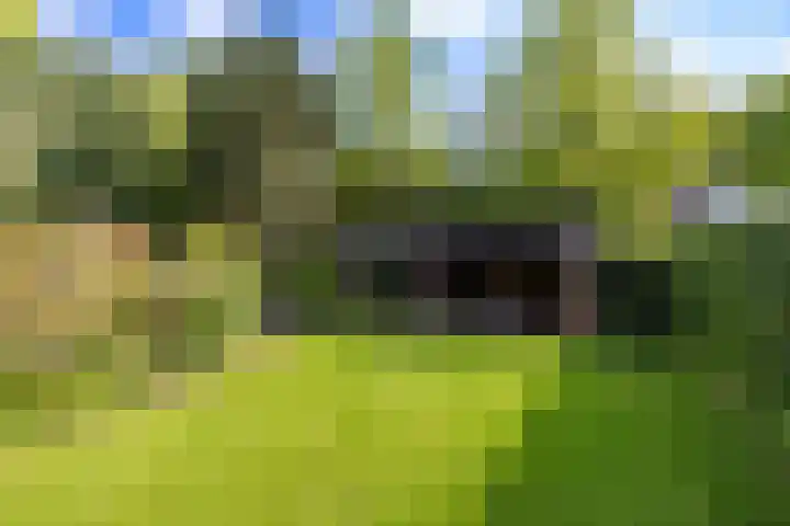 Eltinge 49 Zuidlaren thumbnail 19