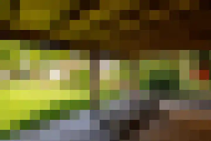 Eltinge 49 Zuidlaren thumbnail 20