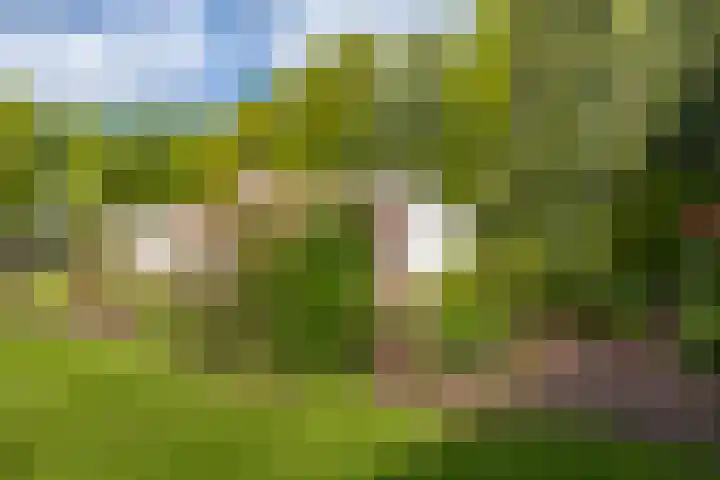 Eltinge 49 Zuidlaren thumbnail 21