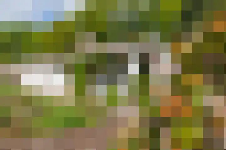 Eltinge 49 Zuidlaren thumbnail 22