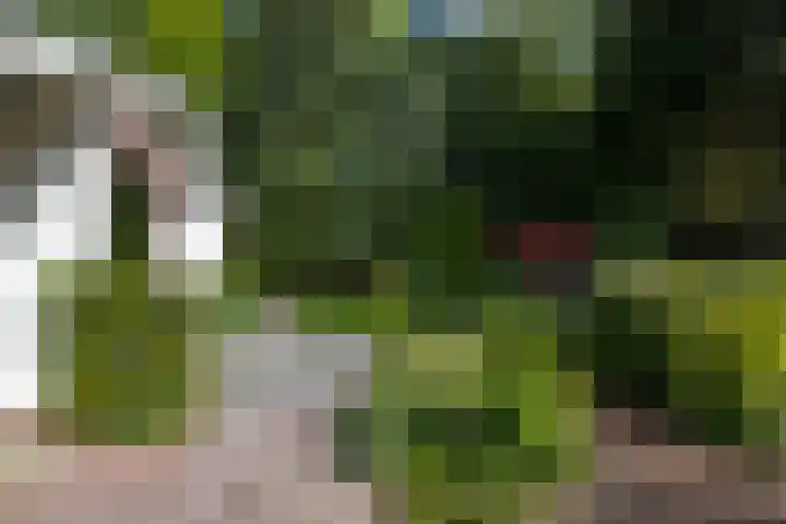Eltinge 49 Zuidlaren thumbnail 23