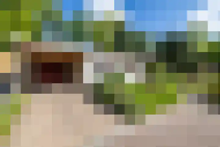 Eltinge 49 Zuidlaren thumbnail 24