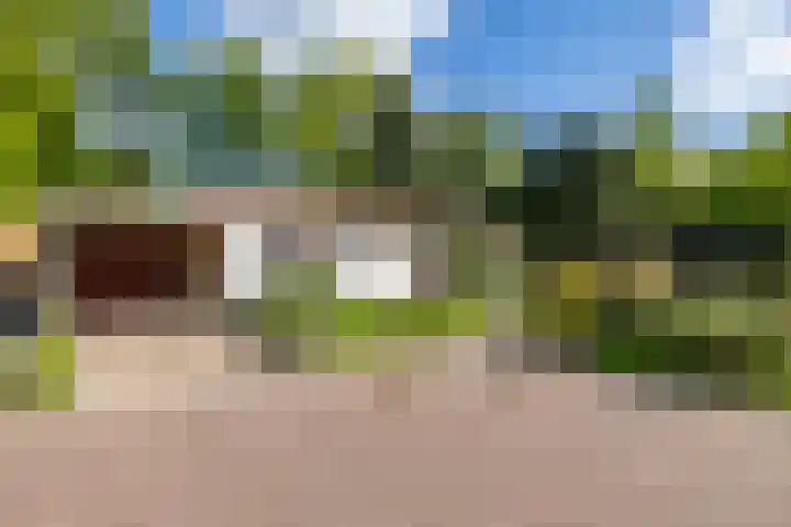 Eltinge 49 Zuidlaren thumbnail 25