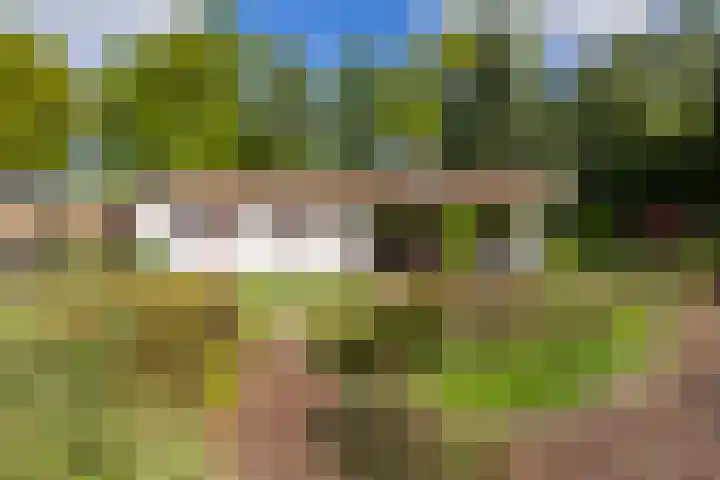 Eltinge 49 Zuidlaren thumbnail 26