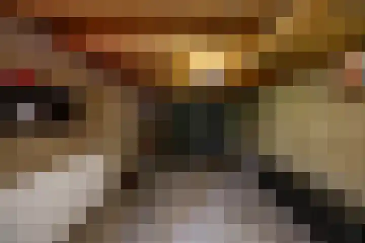 Eltinge 49 Zuidlaren thumbnail 27