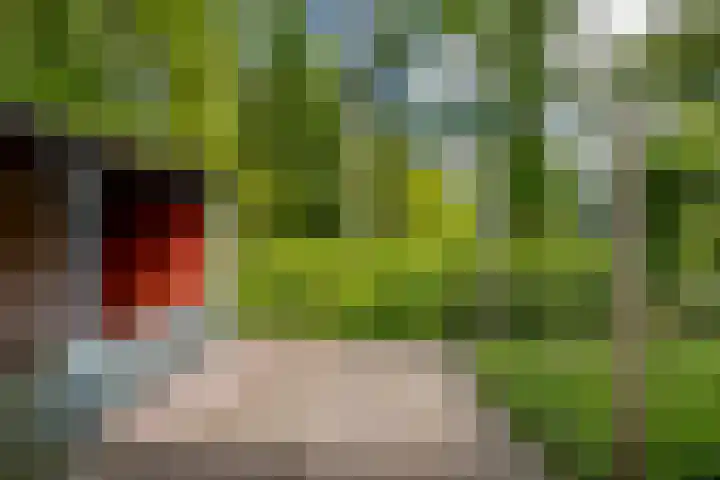 Eltinge 49 Zuidlaren thumbnail 28