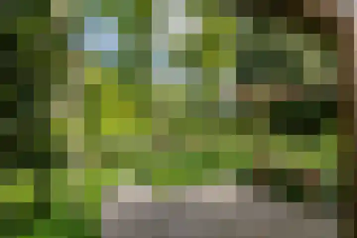 Eltinge 49 Zuidlaren thumbnail 29