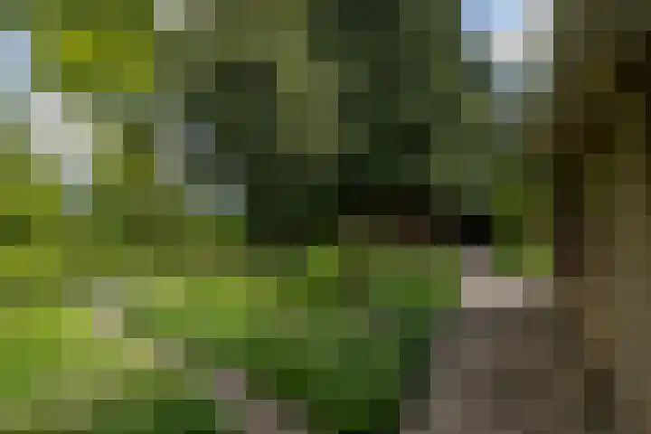 Eltinge 49 Zuidlaren thumbnail 30