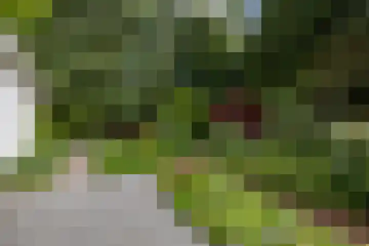 Eltinge 49 Zuidlaren thumbnail 31