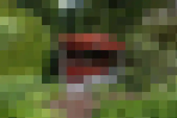 Eltinge 49 Zuidlaren thumbnail 32