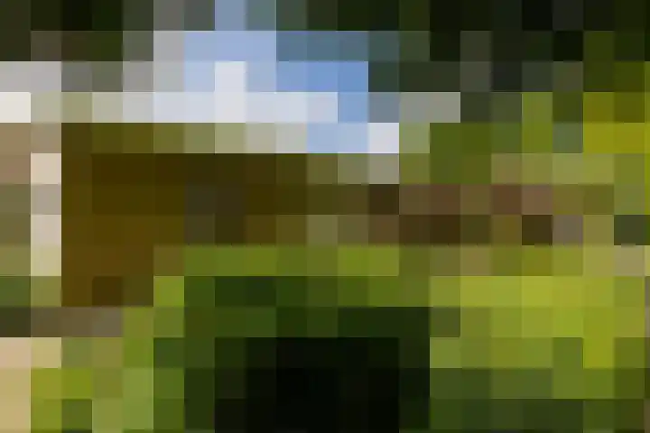 Eltinge 49 Zuidlaren thumbnail 33