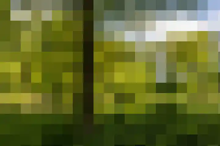 Eltinge 49 Zuidlaren thumbnail 35