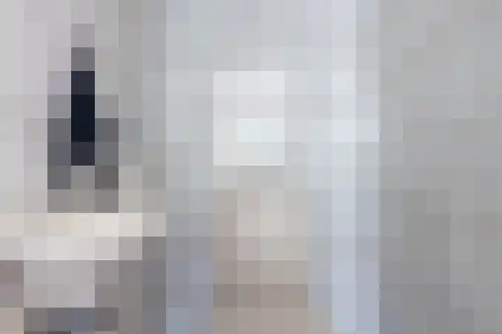 Eltinge 49 Zuidlaren thumbnail 36