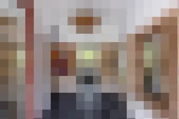 Eltinge 49 Zuidlaren thumbnail 37