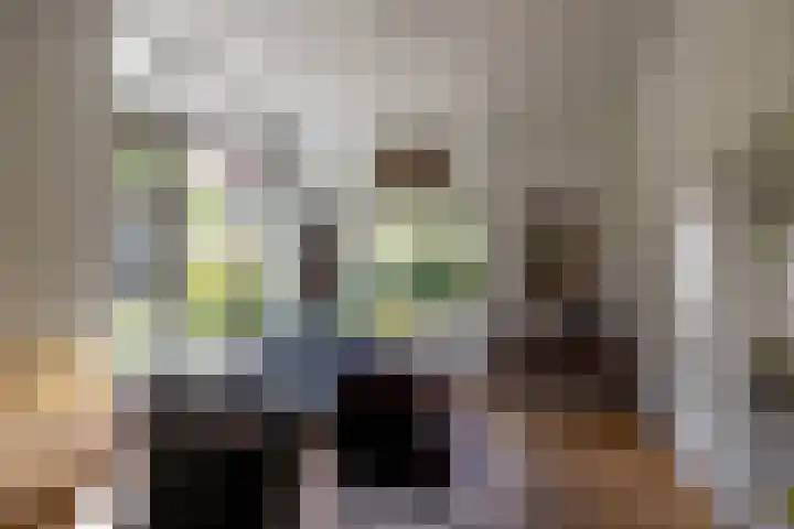 Eltinge 49 Zuidlaren thumbnail 38