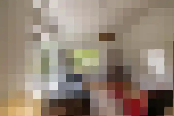 Eltinge 49 Zuidlaren thumbnail 39