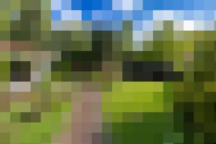 Eltinge 49 Zuidlaren thumbnail 4