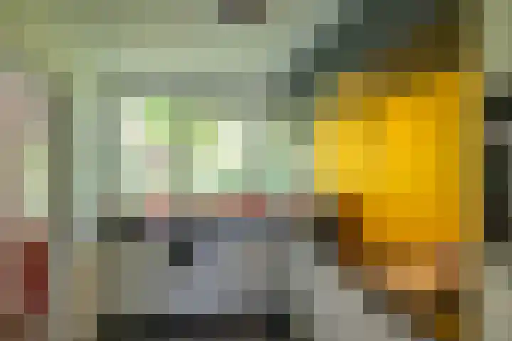 Eltinge 49 Zuidlaren thumbnail 44