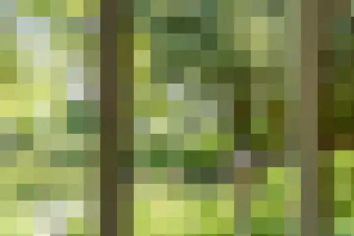 Eltinge 49 Zuidlaren thumbnail 45