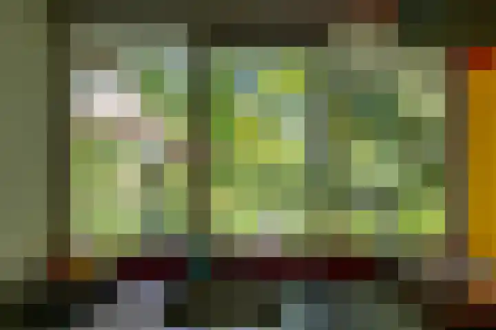 Eltinge 49 Zuidlaren thumbnail 46