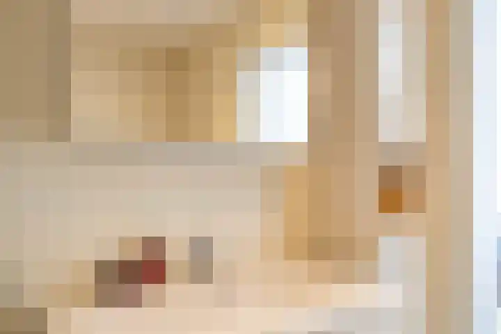 Eltinge 49 Zuidlaren thumbnail 56