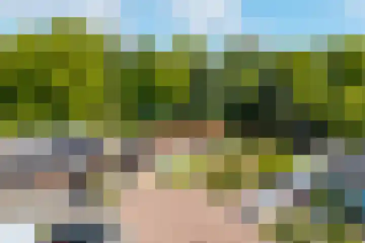 Eltinge 49 Zuidlaren thumbnail 6