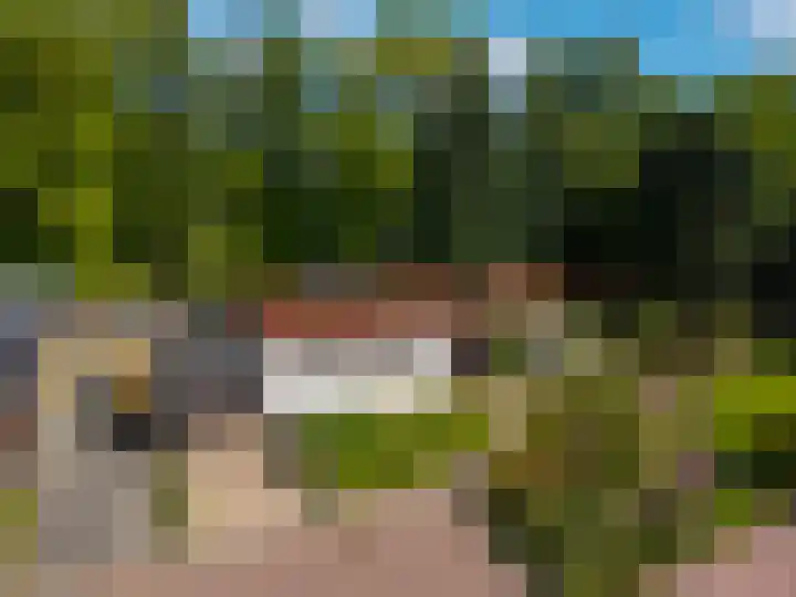 Eltinge 49 Zuidlaren thumbnail 64