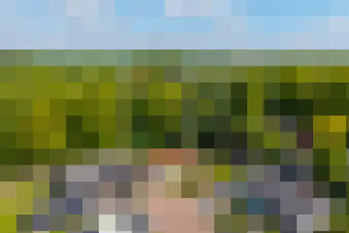 Eltinge 49 Zuidlaren thumbnail 7