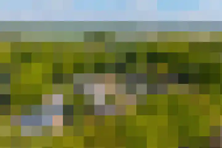 Eltinge 49 Zuidlaren thumbnail 8