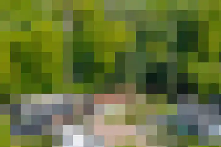 Eltinge 49 Zuidlaren thumbnail 9