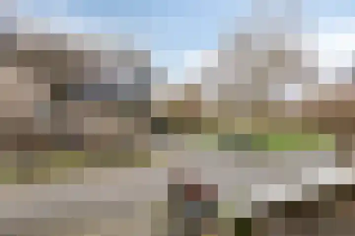 Eltingerhof 109 Duiven thumbnail 6