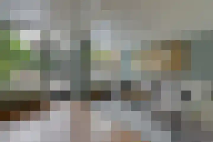 Eltingerhof 78 Duiven thumbnail 10
