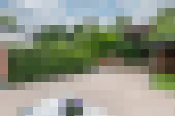 Eltingerhof 78 Duiven thumbnail 27