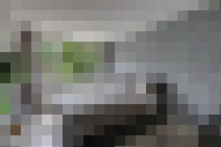 Eltingerhof 78 Duiven thumbnail 34