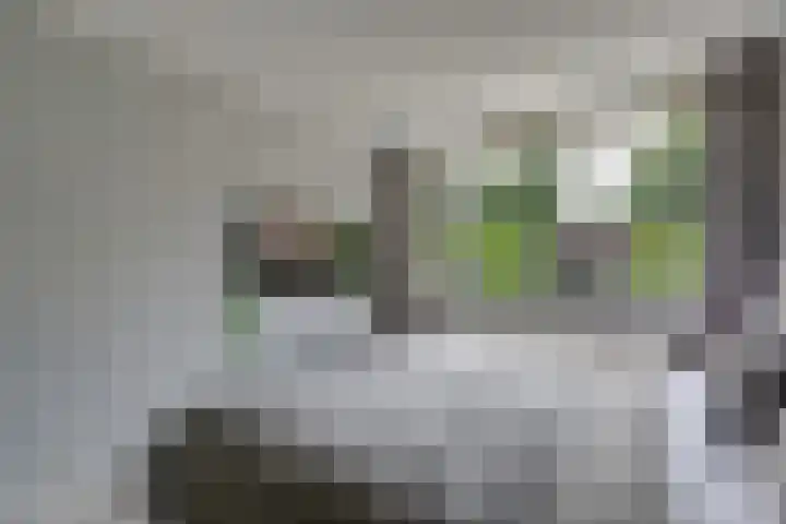 Eltingerhof 78 Duiven thumbnail 35