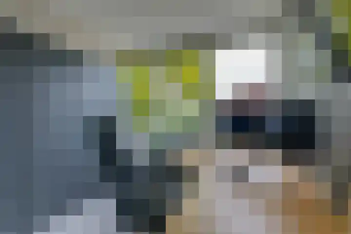 Eltingerhof 78 Duiven thumbnail 36