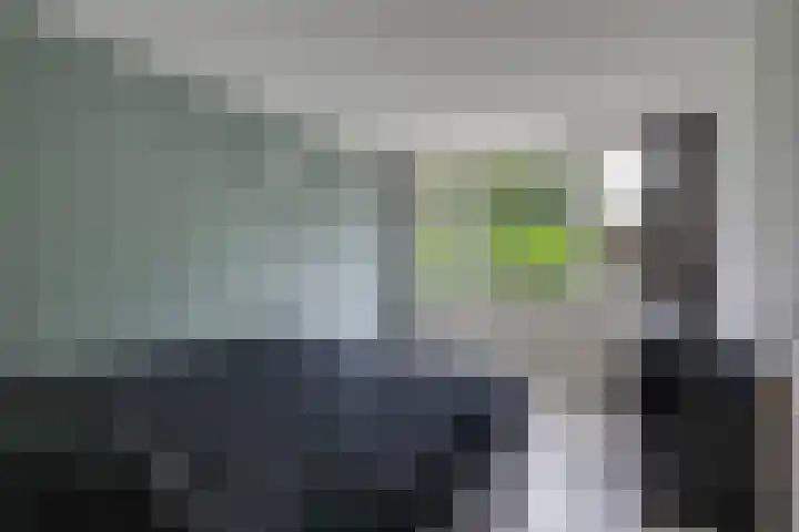 Eltingerhof 78 Duiven thumbnail 37