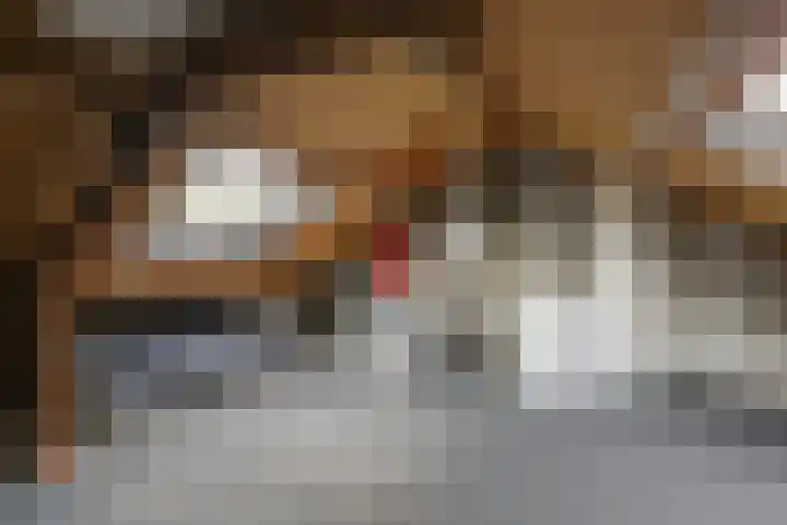 Eltingerhof 78 Duiven thumbnail 43