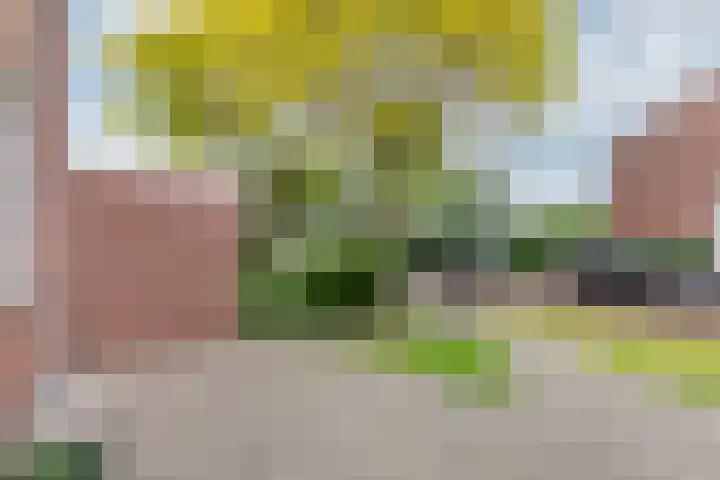 Eltingerhof 78 Duiven thumbnail 47