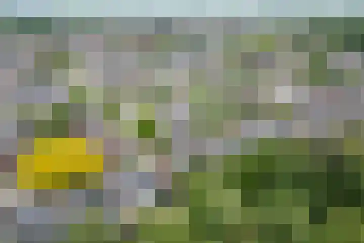 Eltingerhof 78 Duiven thumbnail 52